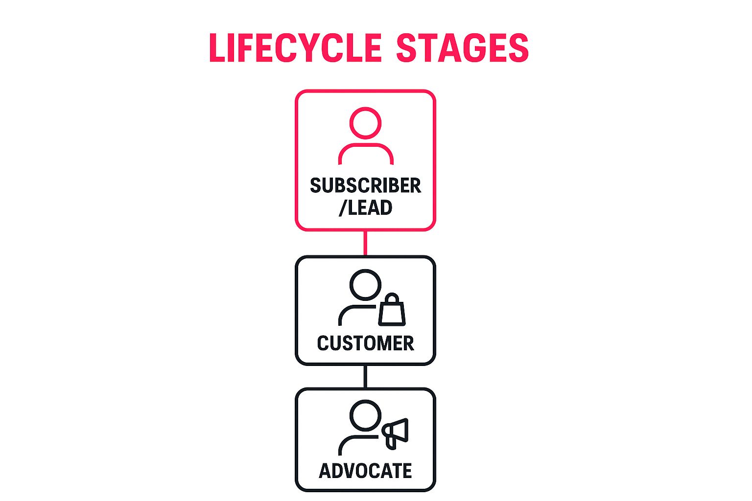 Infographic showing key data about Lifecycle Stage Segmentation